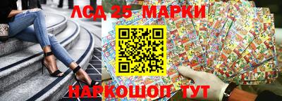гидропоника Сланцы