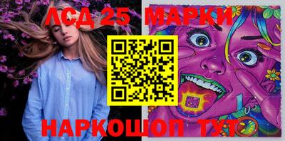 гидропоника Сланцы