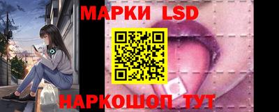 гидропоника Сланцы