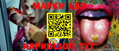 гидропоника Сланцы