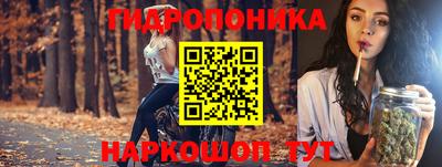 стаф Славгород