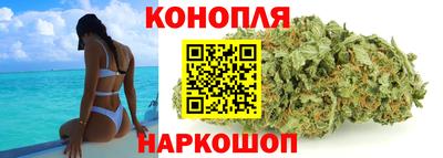 стаф Славгород