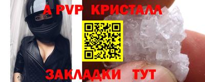 стаф Славгород