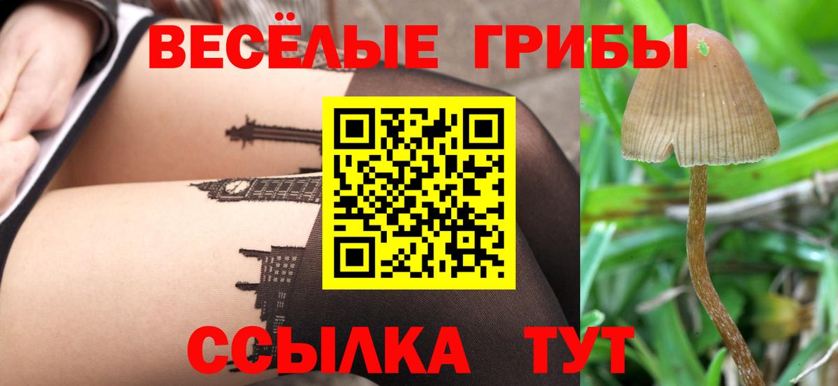 Псилоцибиновые грибы Magic Shrooms Острогожск